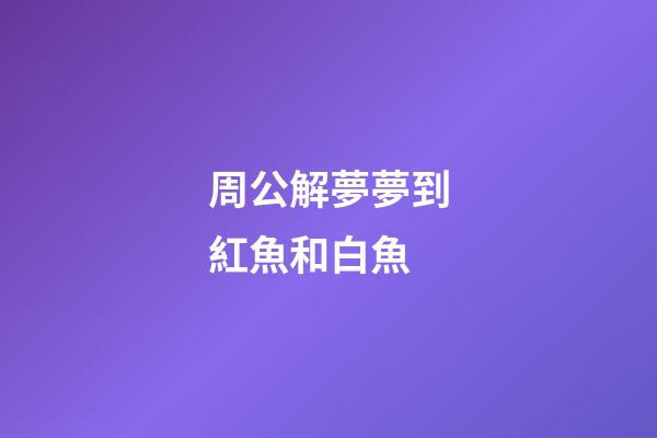 周公解夢夢到紅魚和白魚 (夢見紅白相間的魚)-第1張-觀點-玄機派